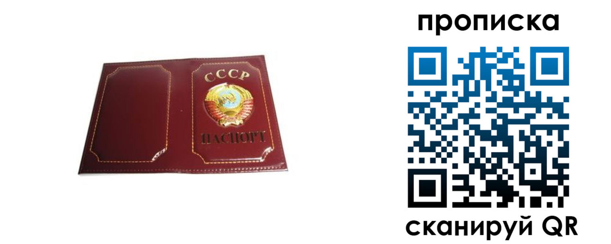 прописка гарантия в Микуни